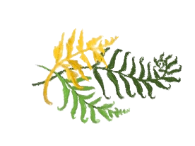 The Art of Jaideep Mathur